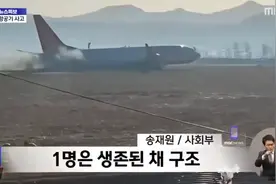 韩国客机起火已致58人死亡！飞机曾尝试机腹着陆图片