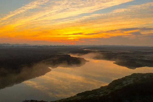 “暴力黄”全开！汨罗江雾、水垅村银杏……惊艳登场