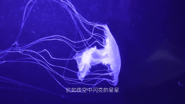 一张神票三重暴击！海底穿越+海上乘船+千年大戏，青岛玩海终极答案！
