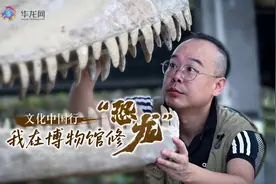 文化中国行 | 我在博物馆修“恐龙”图片