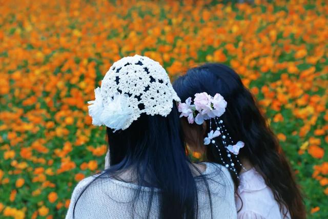 行摄 | 美爆了！秋日花海，限时上映