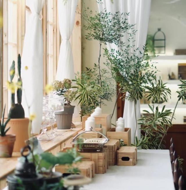 奉贤区景区限时免票或半价来了