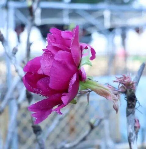 跟着《大生意人》“读”盐城