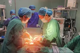 双子宫妈妈喜提龙凤胎宝宝  产科医生称极为罕见图片