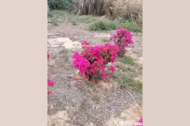 只有上了年纪的人，才能体会到什么叫光阴荏苒图片