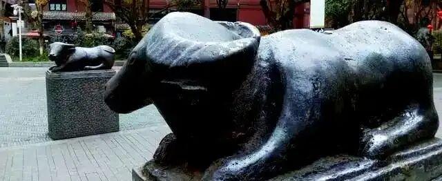 @遵义人，请查收一封来自“遵义公园”的请柬！