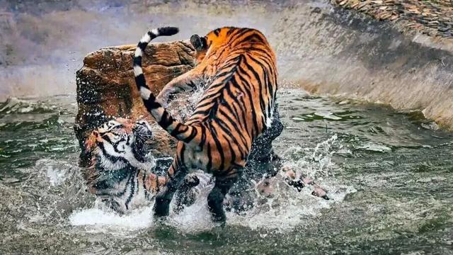 现在就出发！沿着洛阳周边自驾你将能看到...