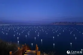 龙羊峡夜 渔火映波图片
