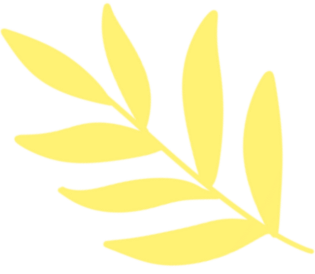 在龙华，公园遛弯有惊喜~