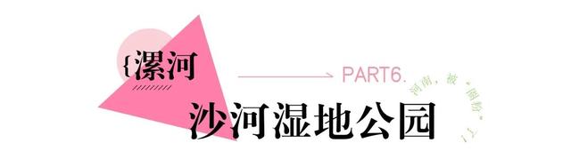 河南，被圈“粉”了！