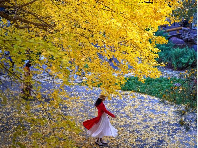 北京号最精彩｜明年北京11座重点桥系将“美颜增肌”