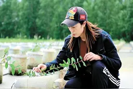 哈尔滨市推进种业建设 助力打造农业新质生产力图片