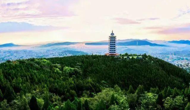 @老师们，节日快乐！请查收您的好客山东专属优惠
