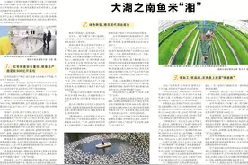 新农博 新征程 丨大湖之南鱼米“湘”图片