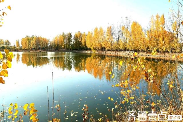 秀山东丨泰安市新泰，‌层林尽染映湖光，初冬绘就多彩画卷