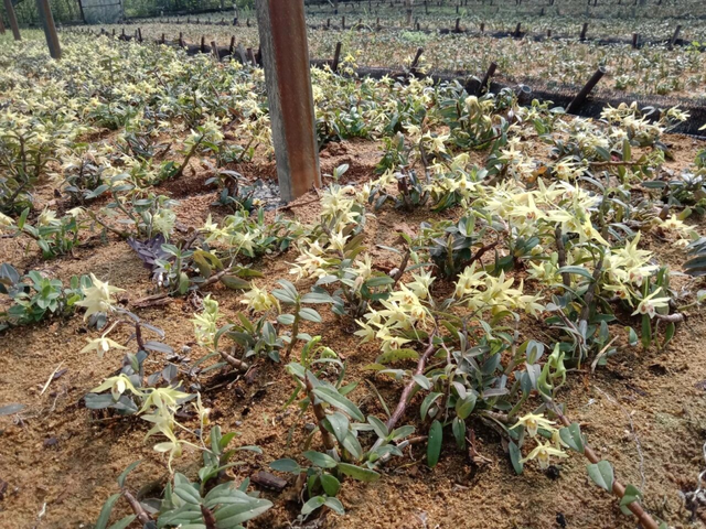 何须远行？亭林就藏着一条宝藏路线…