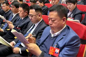 2025泰安这样干（3）|引进世跆联主席杯跆拳道比赛，培育潮玩经济、网红经济图片