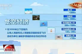 央视聚焦！2025年盐田低空如何腾飞？图片