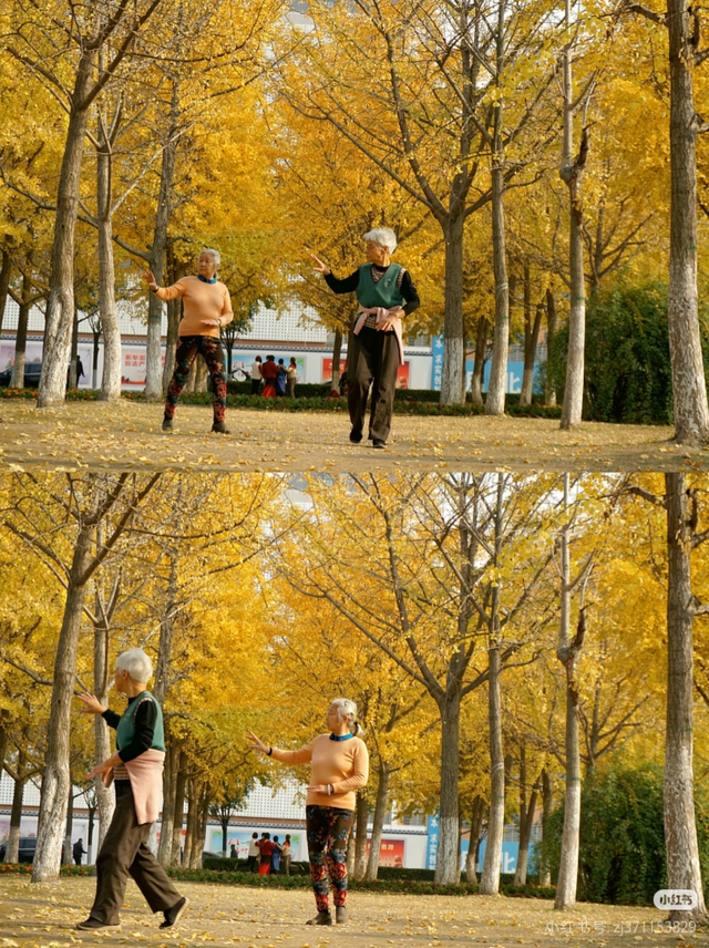 当沙市的风吹黄第一片银杏​……