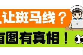 曝光！泰安这5辆车斑马线前不礼让行人被点名图片