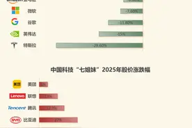 谁在引领中国科技股“七姐妹”飙升？图片