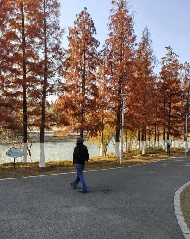 去荆门，撞进秋天怀里！