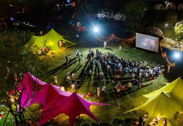 想撒野，来紫帽！