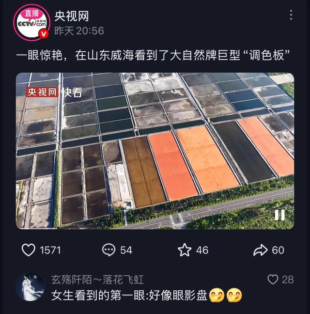 央视6次聚焦多彩南海 好生态绘就新画卷