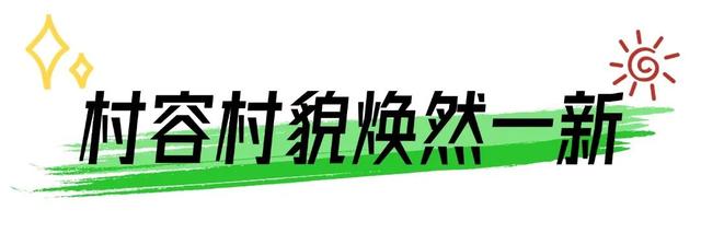 ​火了！珠海这条村政府出资，破旧石屋“爆改”成网红民宿！