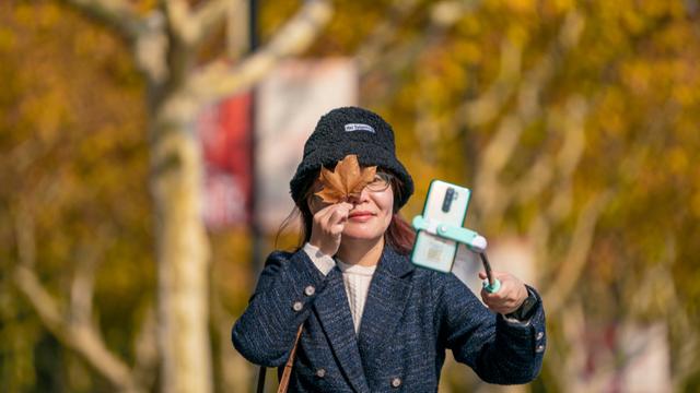 上海的心跳在弄堂