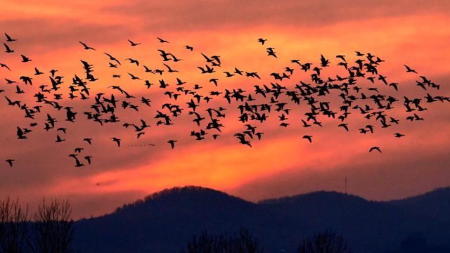 出色！洛阳这些最美场景等你解锁