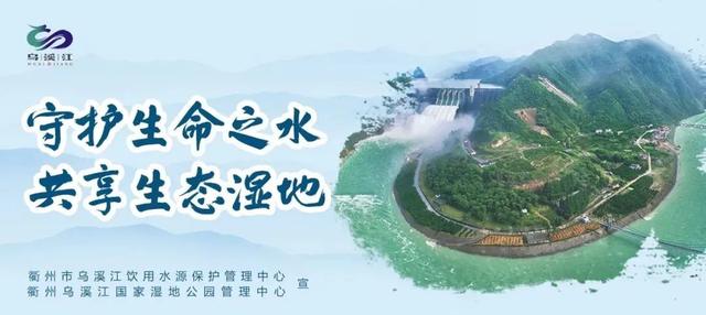 坐标“三馆两中心”，周年超级嘉年华千万别错过......