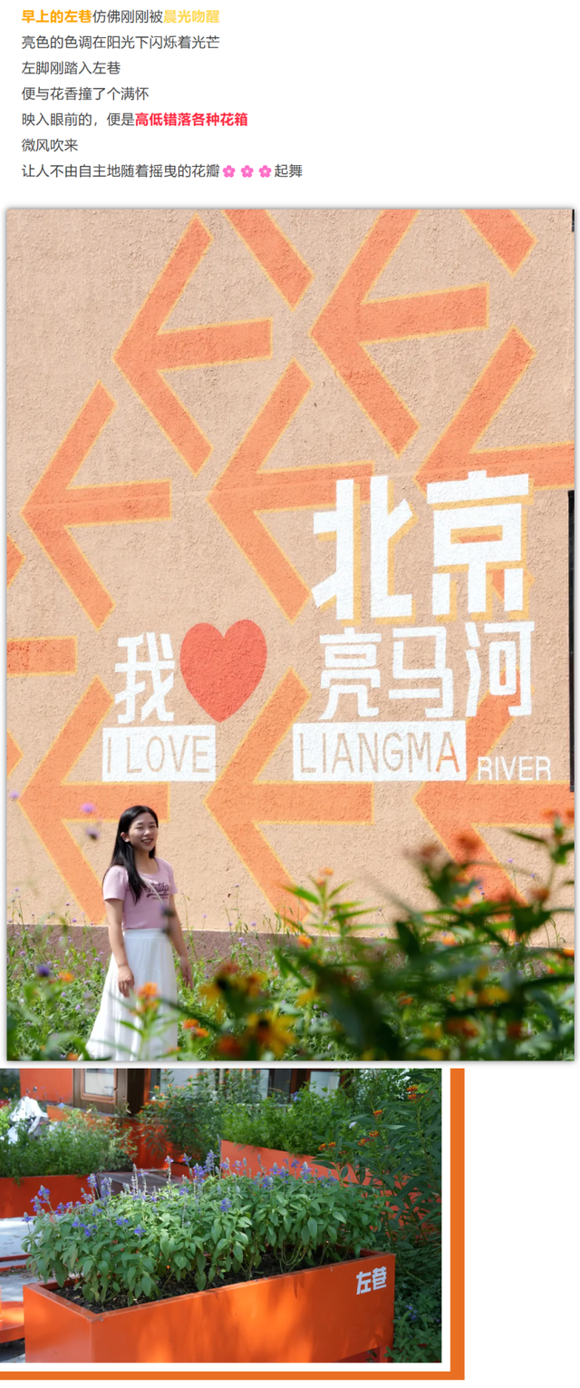 遗憾，见过亮马河的日落，却没到这条小巷走一走