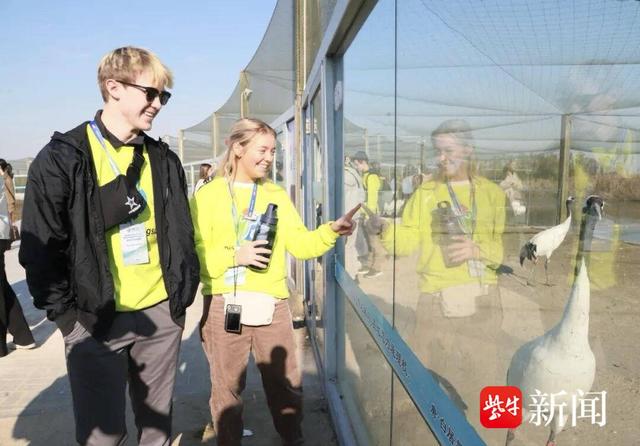 “以鹤为媒：与世界对话”中美青少年文化沙龙活动在盐城举办