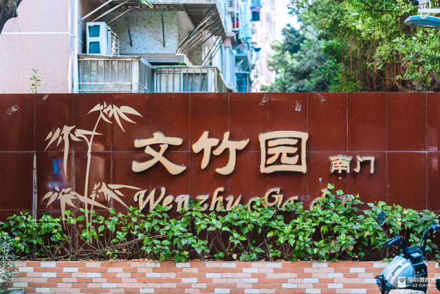 一条荔园路，多少蛇口人的前半生