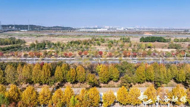 橙黄橘绿时 武汉经开区斑斓如画