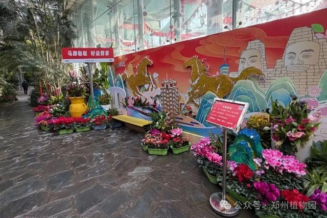 迎春花展元旦开展！郑州植物园邀您沉浸式打卡新年限定花海