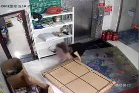 福建晋江一孕妇在公寓一楼被快递砸伤脚 当事人：已协商解决完毕图片