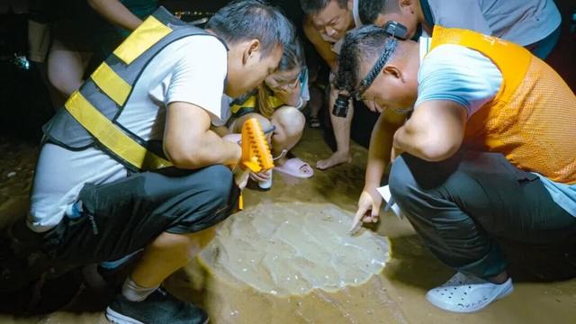 这个五一，去刘家湾赶一场“潮”——万亩滩涂已备好，只差一个挽起裤脚的你