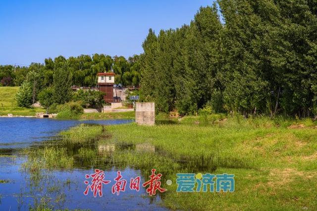 一年四季 泉在济南丨初秋玉符河：水碧草青，绘就生态好风光