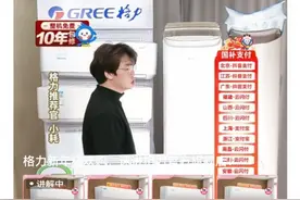 格力高管最新回应：公众对董明珠有误解，她的凶是跟不良现象作斗争！图片