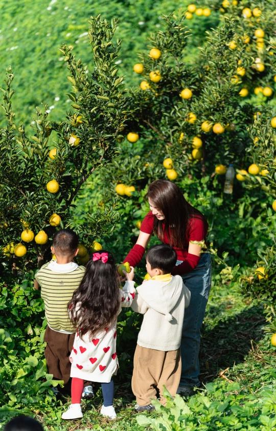 阳光罗甸 “橙”意满满 邀您过冬 —“享暖冬 趣罗甸”2025年罗甸暖冬新玩法在贵阳发布