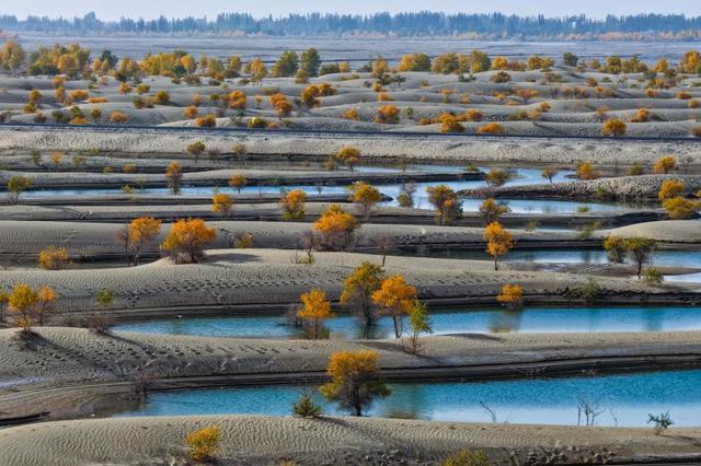 中外游客在大美新疆感受“多彩”魅力