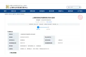 总起价439.5亿元！全国总价地王“徐汇东安新村地块”正式挂牌图片