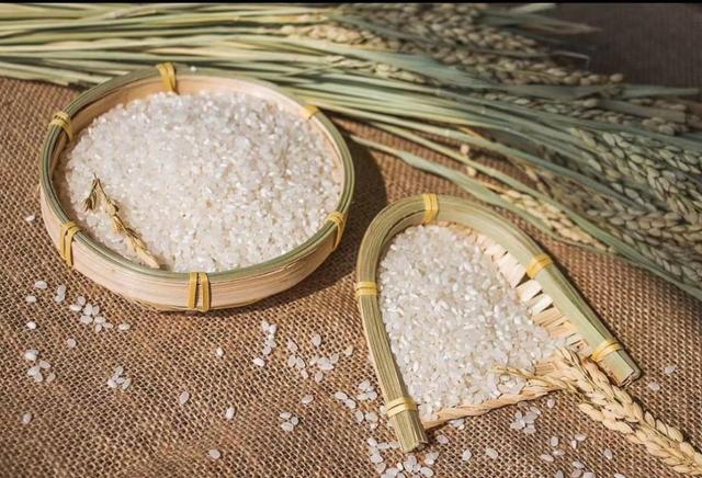 今日立冬！三个仪式解锁肥城初冬的终极浪漫！