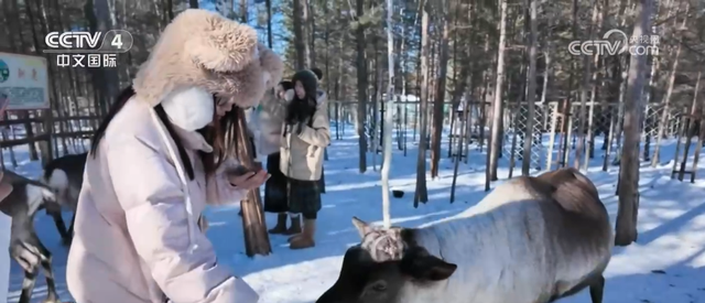 “冷资源”迸发“热动能” 冰雪季成为经济增长“黄金季”