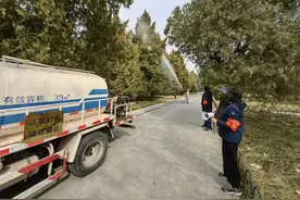 北京天坛公园花粉弥漫  公园回应：白天喷水2至3次降浓度图片