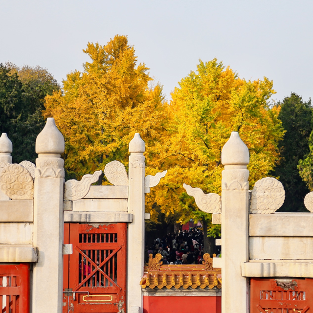 不必扎堆地坛公园！东城区赏秋攻略，一图收藏