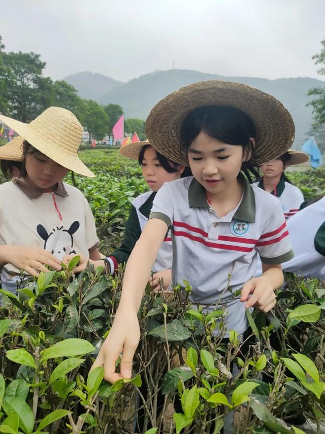 解锁遛娃新姿势！佛山2条亲子路线让孩子亲近自然，快乐满分！