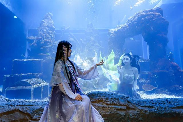 采风团走进湖北交投海昌海洋探索馆：趣游海洋世界，探寻交旅融合